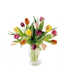 The Carnival Bouquet The Carnival Bouquet